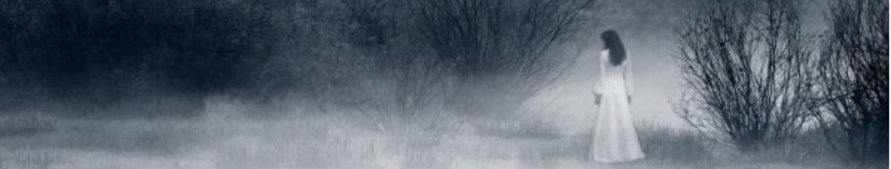 Musings of a Haunted Flight Attendant